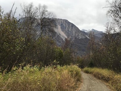 View From Road Leading In to Property