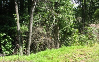Additional View