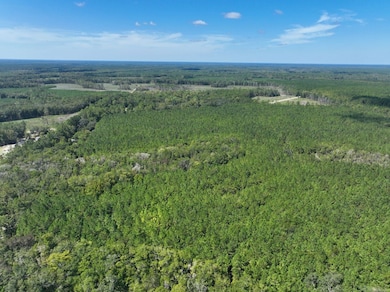 0 Buck Ln, Woodbine, GA 31569 - photo 7