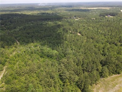 Aerial view of property's location featuring a forest