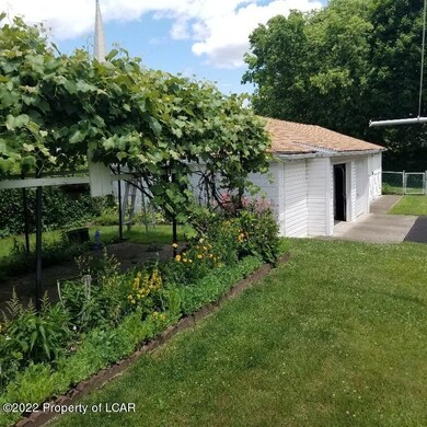 Rear Yard