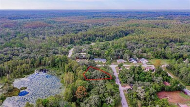 0 Midvale Ave unit MFRTB8356778, New Port Richey, FL 34654 - photo 2