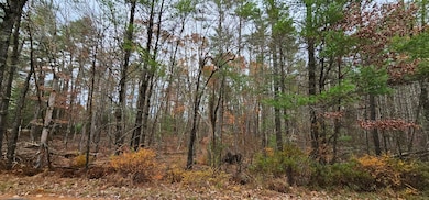 Lot 28 Summit Dr, Eldred, NY 12732 - photo 2