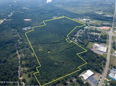 0 Mississippi 13 unit 4124572, Morton, MS 39117 - photo 6