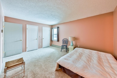 307 Lakeside Dr unit 1-A, Grand Lake, CO 80447 - photo 6