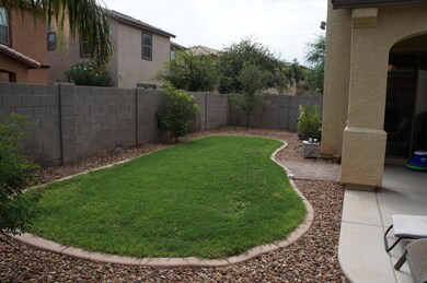 back yard