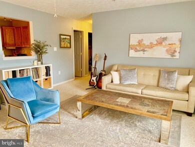 205 I-12 Hailey Ln, Strasburg, VA 22657 - photo 4