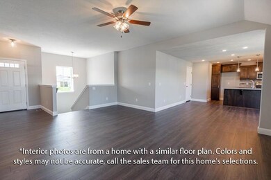 Hoover Basement Floor Plan Photo