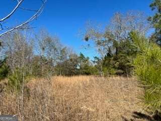 871 Eufaula Hwy, Fort Gaines, GA 39851 - photo 6