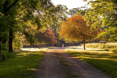 8467 W Placer Ln, Willard, MO 65781 - photo 4