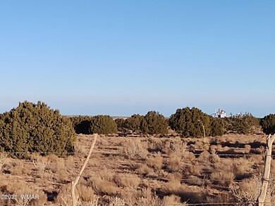 IMG_20210228_172817533