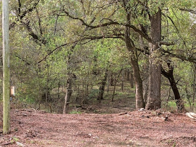 Tract 2, TBD County Road 3204, Abbott, TX 76621 - photo 3