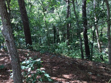 15 Oak Hill Ln unit Lot 1A, South Yarmouth, MA 02664 - photo 2