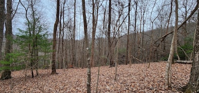 4.17 Acres Spruce Ln unit 28, Zirconia, NC 28790 - photo 2