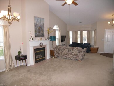 The open floor plan features a cathedral ceiling t
