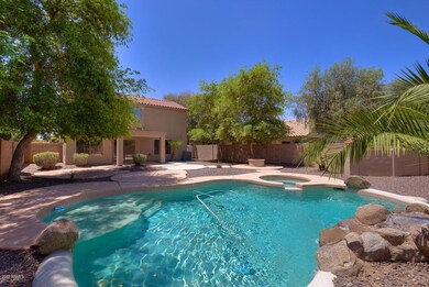 Backyard Oasis