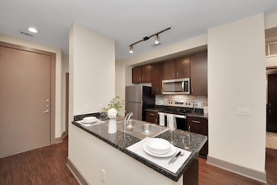 3616 Richmond Ave unit 1208, Houston, TX 77046 - photo 5