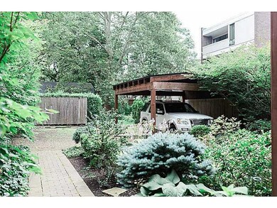 Yard/Garden.