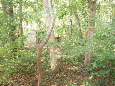 12780 Clark St, Crown Point, IN 46307 - photo 6