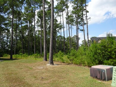 203 Canaan Ct, Jacksonville, NC 28546 - photo 2