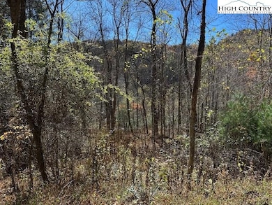 TBD River Front Dr, Jefferson, NC 28604 - photo 2