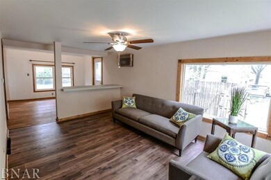 317 N 2nd Ave, Chenoa, IL 61726 - photo 2