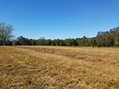 great open 3 acres