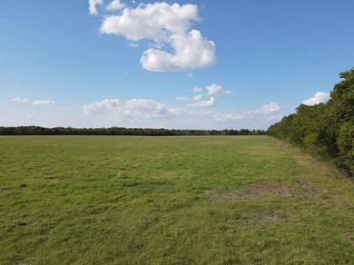 1440 County Road 2100, Cooper, TX 75432 - photo 5