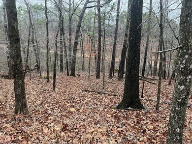 0 Avebury Ln unit 1239408, Bella Vista, AR 72714 - photo 3