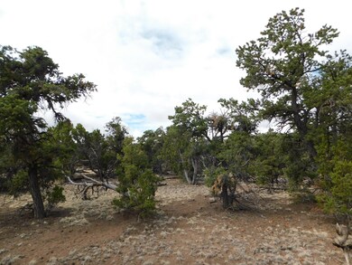 174 Agua Fria Loop, Quemado, NM 87829 - photo 5