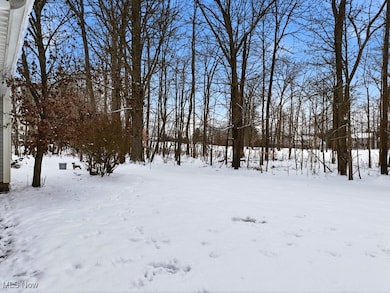 11239 Stanley Ln, Twinsburg, OH 44087 - photo 4