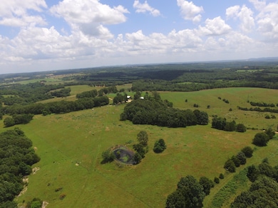 000 County Rd O-532 unit 13, Ava, MO 65608 - photo 2