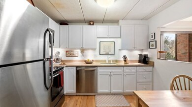 54 Concord Ave unit 103, Cambridge, MA 02138 - photo 6