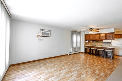 4617 Elm Ave unit 1N, Brookfield, IL 60513 - photo 5