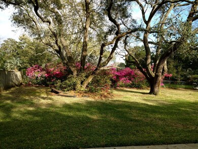 10 Cambridge Ave Back Yard
