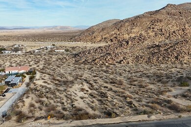 6981 Alturas Dr, Joshua Tree, CA 92252 - photo 5