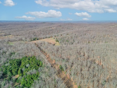 0 Minnow Branch Rd, Buffalo Township, MO 65078 - photo 7