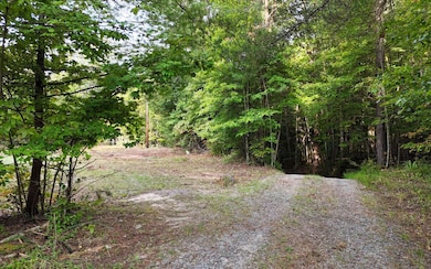 LOT 8 Murphy Ln, Mineral Bluff, GA 30559 - photo 5