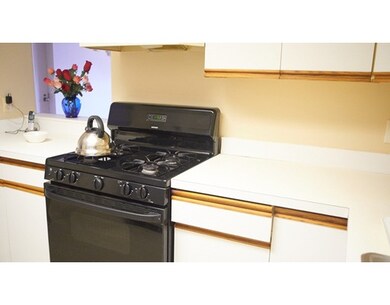 20 Rockland St unit 3, Roxbury, MA 02119 - photo 3