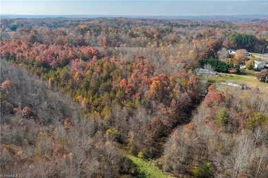 0 Wilkes Ln, Pilot Mountain, NC 27041 - photo 2