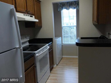 16449 Canvass Back Ct, King George, VA 22485 - photo 5