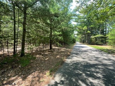 0 Columbia Rd unit 586593, Egg Harbor City, NJ 08215 - photo 6