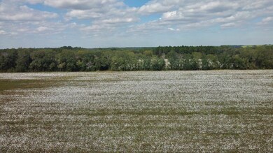 2864 McConnell Bridge Rd, Adel, GA 31620 - photo 4