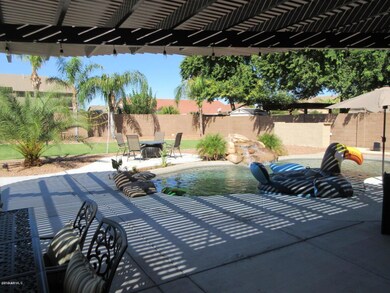 Backyard pool area and covered patio