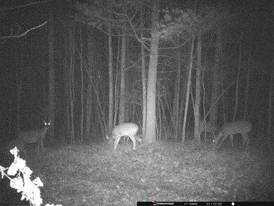 V/L W 14 Mile Rd, Lilley Township, MI 49309 - photo 7