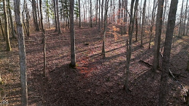 7000 W County Road 1150 N, Salt Creek Township, IN 47235 - photo 4