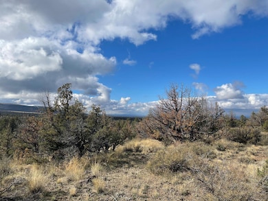 0 SE Almond Ln SE unit 220212321, Prineville, OR 97754 - photo 6