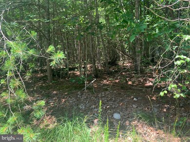 0 Twin Oaks unit VAWR143818, Bentonville, VA 22610 - photo 7