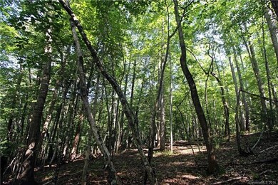 48 Shenandoah Rd unit 48, Lake Lure, NC 28746 - photo 4