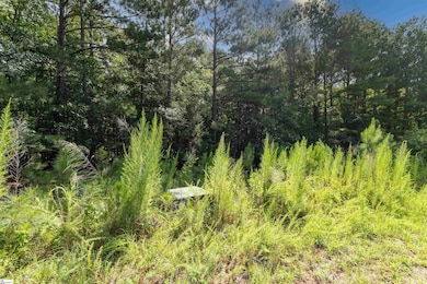 00 Hobby House Way, Woodruff, SC 29388 - photo 5